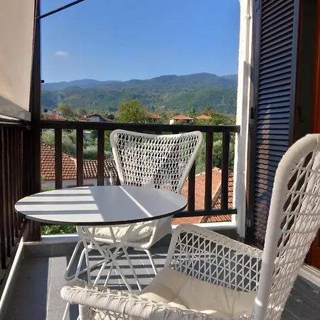 Amaryllis Luxury Guest house
