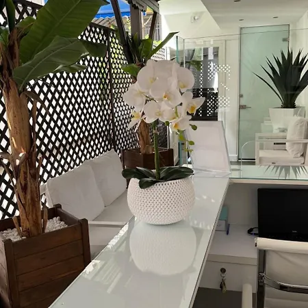 Amaryllis Luxury * Platamonas