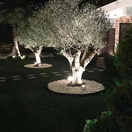 Guest house Amaryllis Luxury