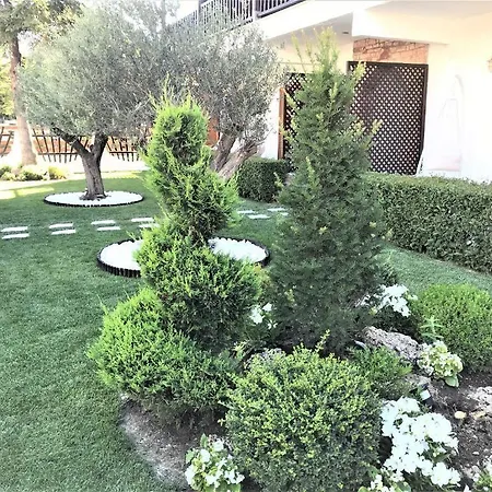 Guest house Amaryllis Luxury 4*