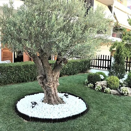 Amaryllis Luxury Guest house