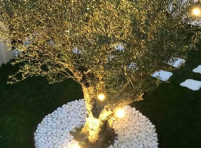 Amaryllis Luxury Pensión Platamonas