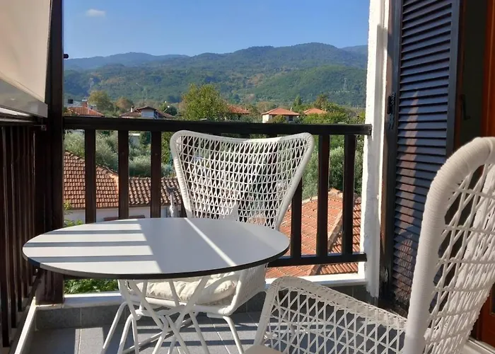 Amaryllis Luxury Pensión