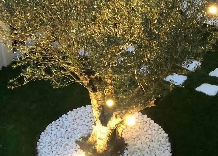 Pensión Amaryllis Luxury Platamonas