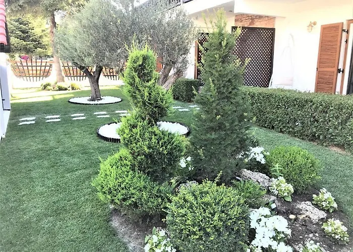 Pensión Amaryllis Luxury 4*