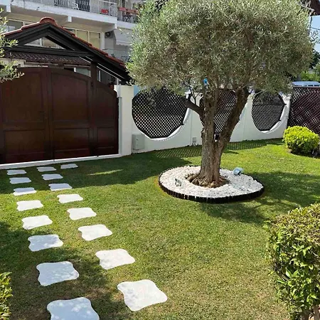 Amaryllis Luxury 4*