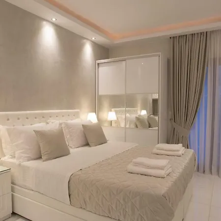 Amaryllis Luxury