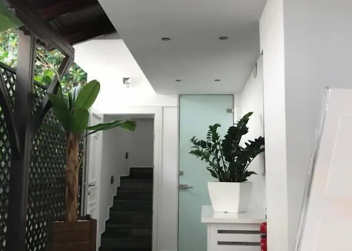 Amaryllis Luxury 4* פלטמונס